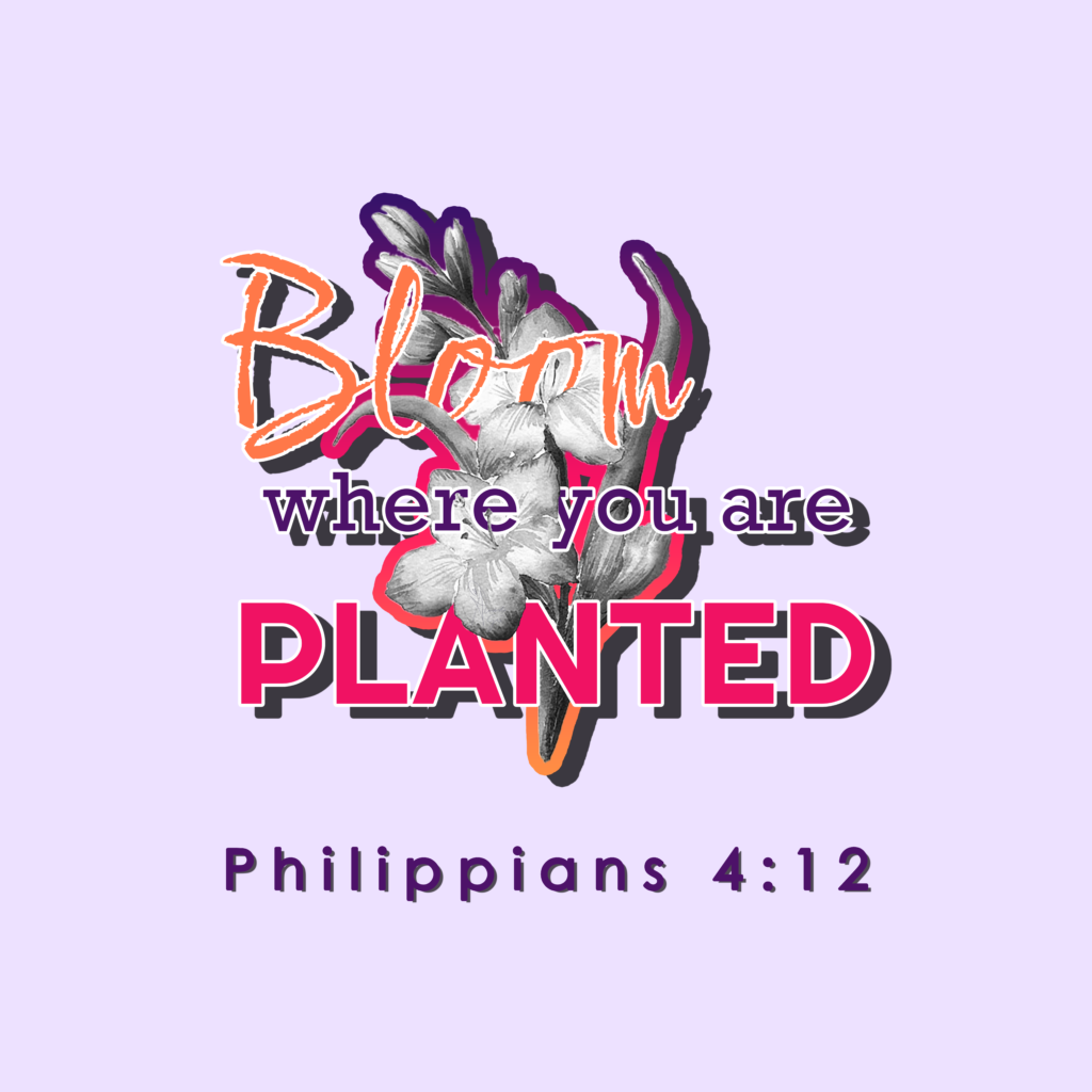 Bloom where you are planted design on purple background